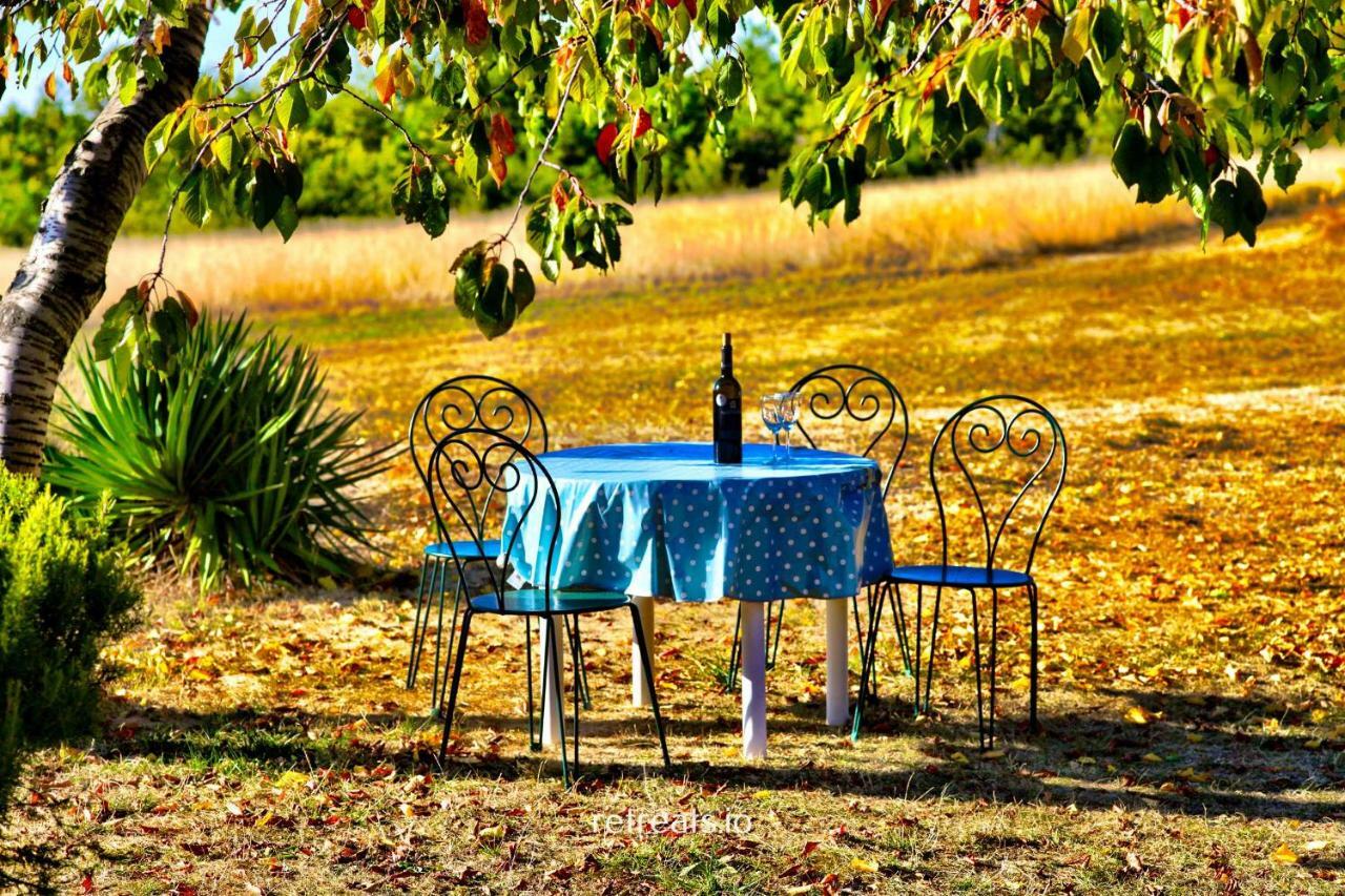 La Colle En Provence Main House Villa Sigonce Luaran gambar